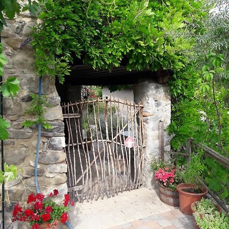 Maison Aux Lavandes The Studio Vaumeilh Kültér fotó